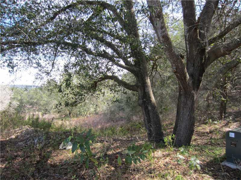Lot #11 Sonnama Ridge Lane, Clermont, FL 34711