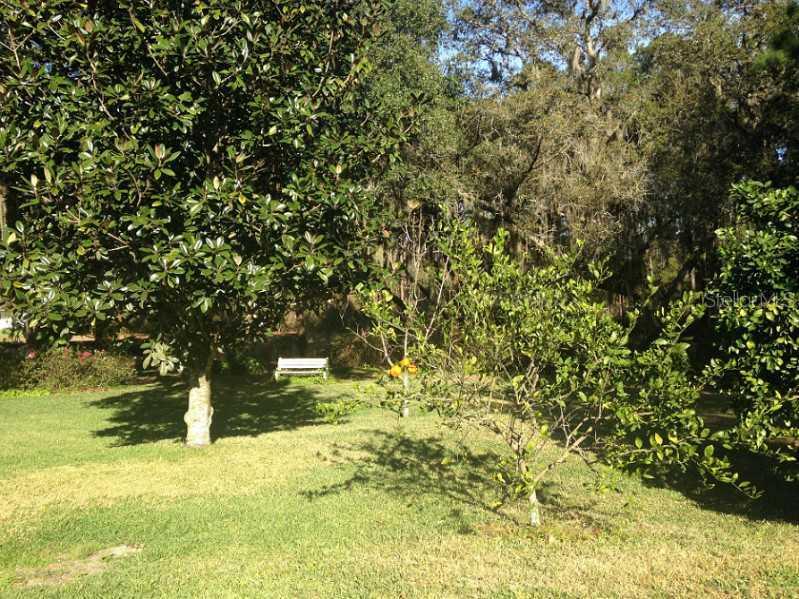 Lot 17 Morrison Street, Groveland, FL 34736