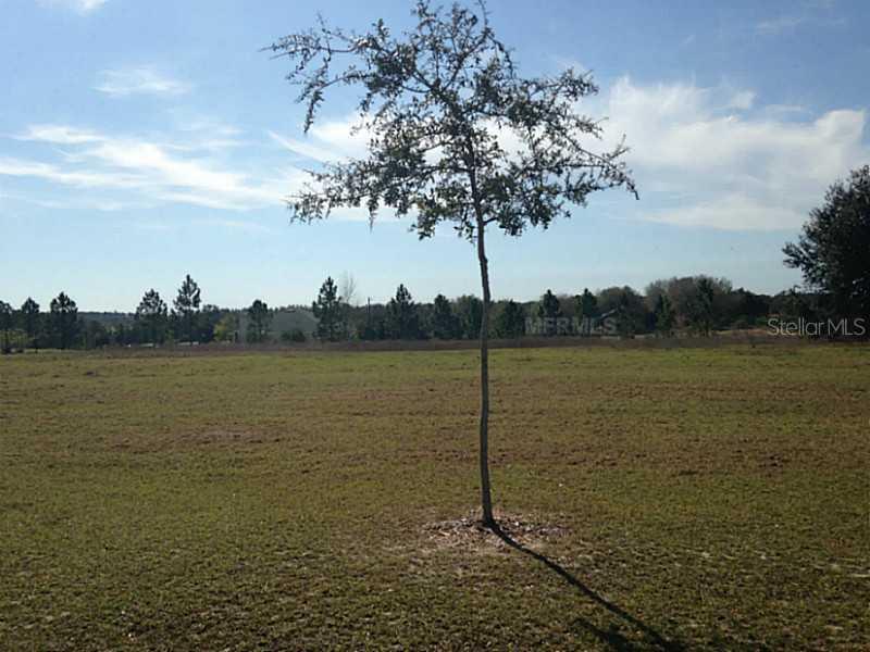 6618 Maryland Ave., Groveland, FL 34736