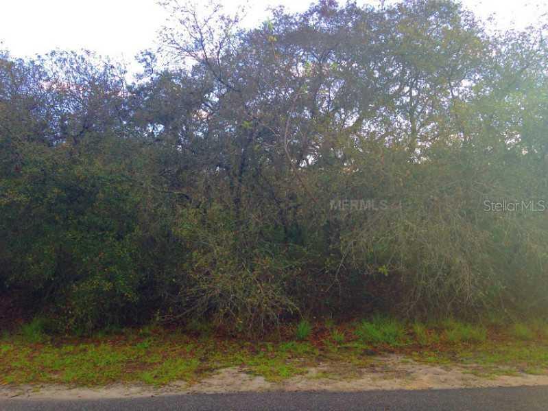 Lot 23 Nellie Oaks Bend, Clermont, FL 34711