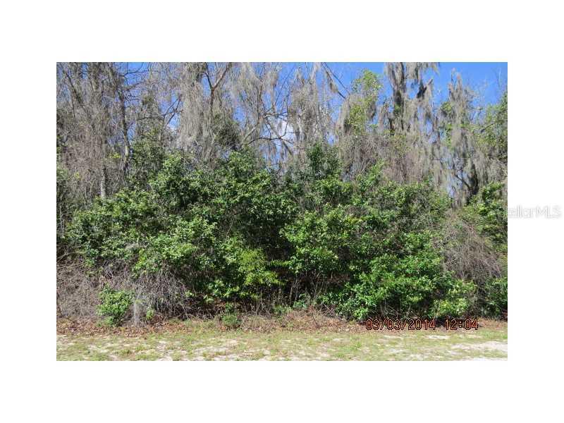 Lot 38 Acorn Cir, Tavares, FL 32778