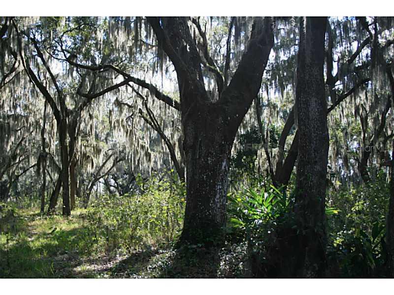 [Address Hidden by Seller], Groveland, FL 34736