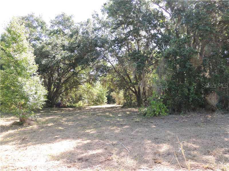 Lot 5 Tomato Hill Rd., Leesburg, FL 34748