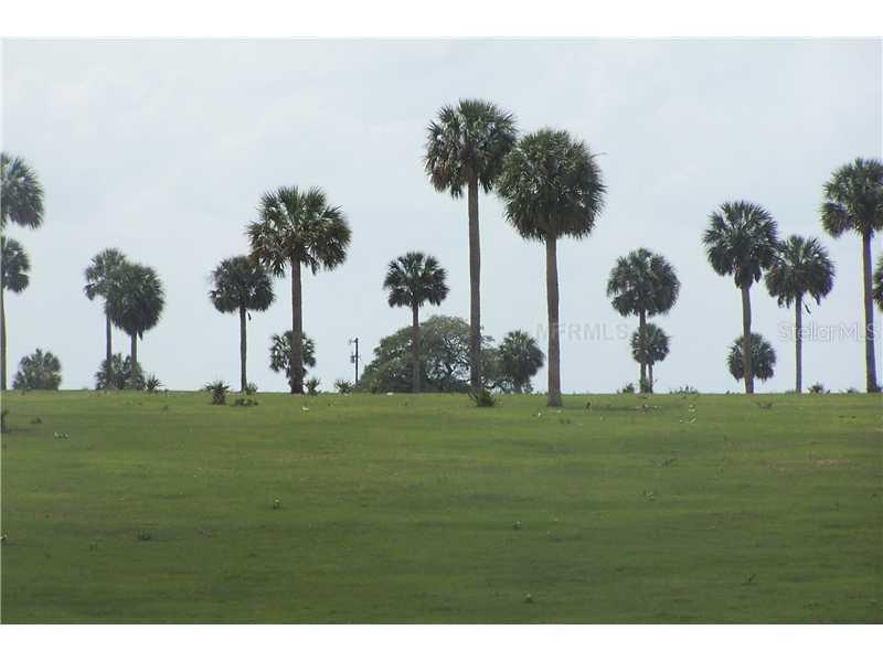 Off Snafflebit Ln Ln., Sorrento, FL 32776