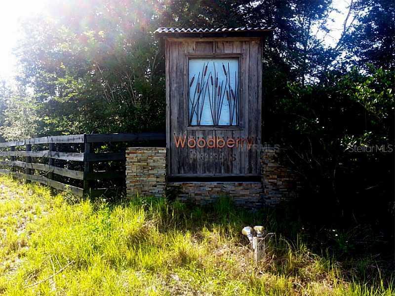 Tree Frog Ln., Eustis, FL 32736