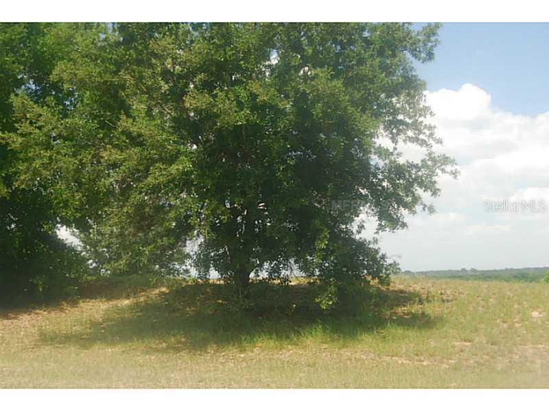 Leatrice, Clermont, FL 34711