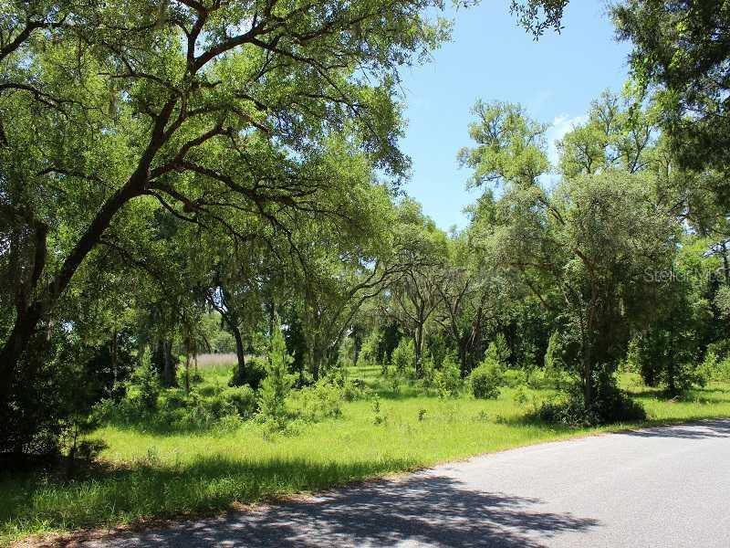 Se 292nd Ave., Altoona, FL 32702