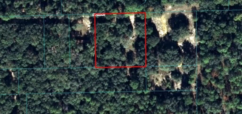 21200 SE 155th St., Umatilla, FL 32784