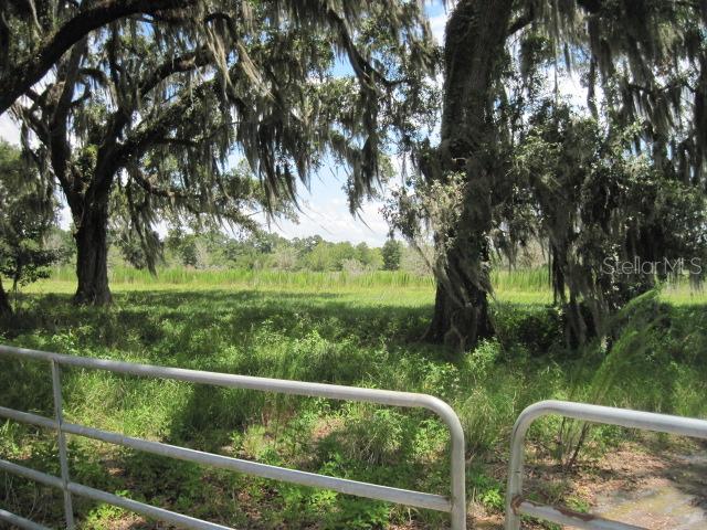 2229 Endsley Rd., Brooksville, FL 34604