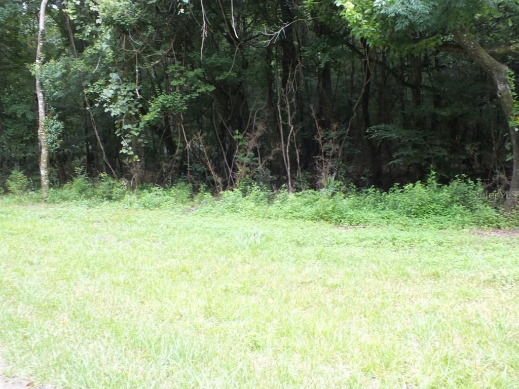 Se 26th Ct., Gulf Hammock, FL 32639