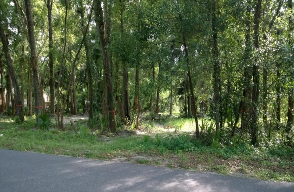 31339 Westward Ho Ave., Sorrento, FL 32776