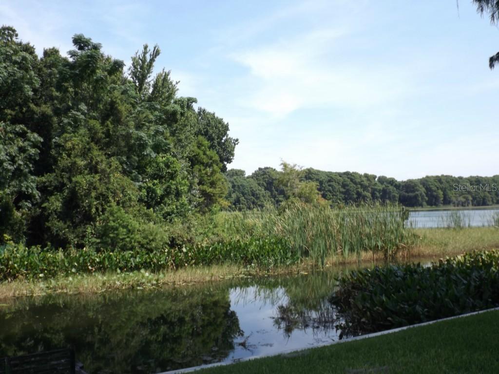 Carl Rd., Tavares, FL 32778