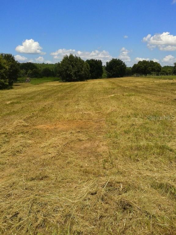 Morgan Horse Rd., Groveland, FL 34736