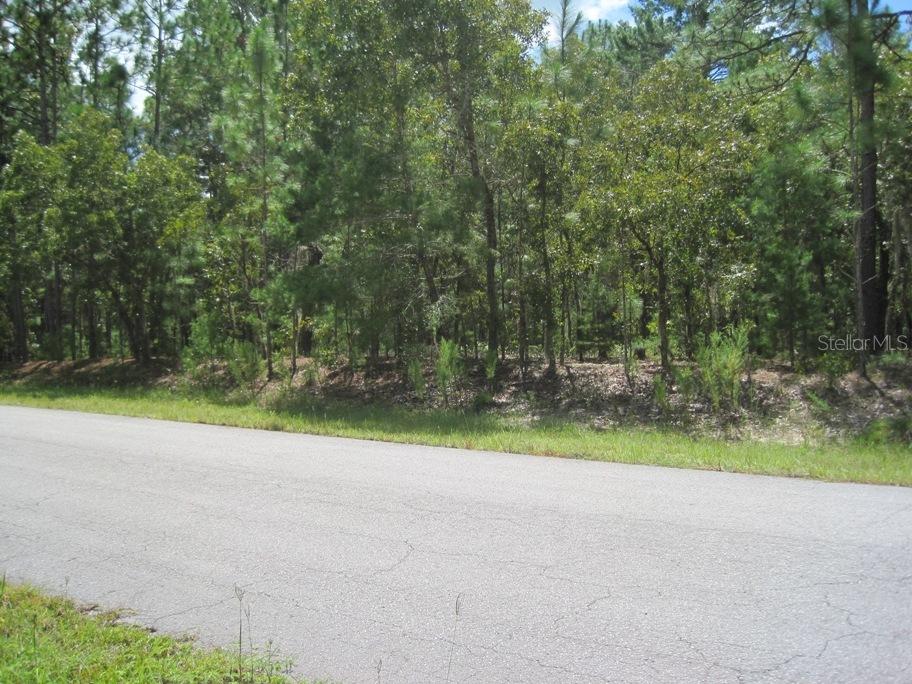 TBD County Road 243c, Wildwood, FL 34785