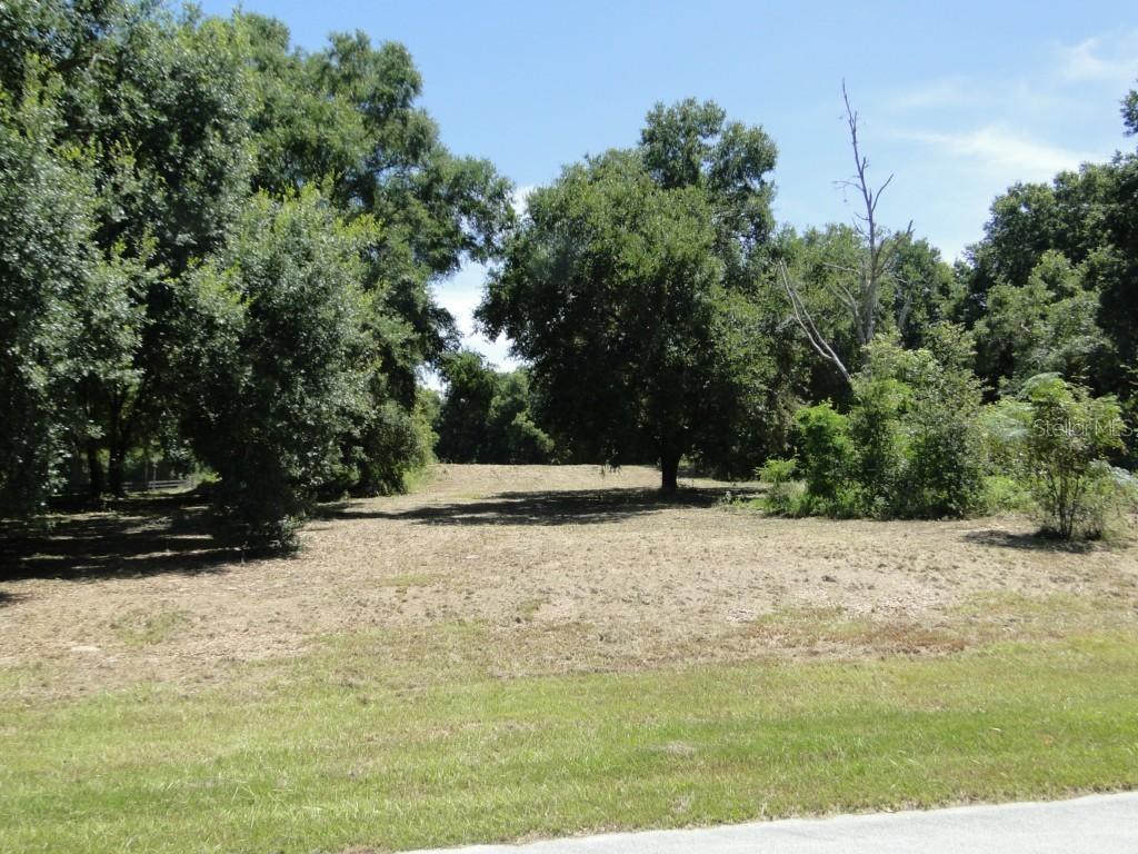 Bridges Glen Ln., Clermont, FL 34711