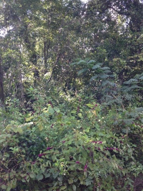 Paducah St., Sorrento, FL 32776