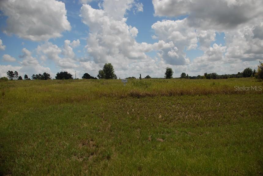 Grove Dr., Groveland, FL 34736