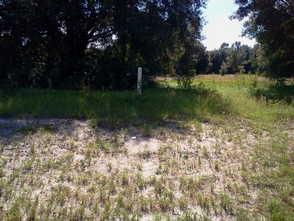 Lot 22 Club Dr., Groveland, FL 34736
