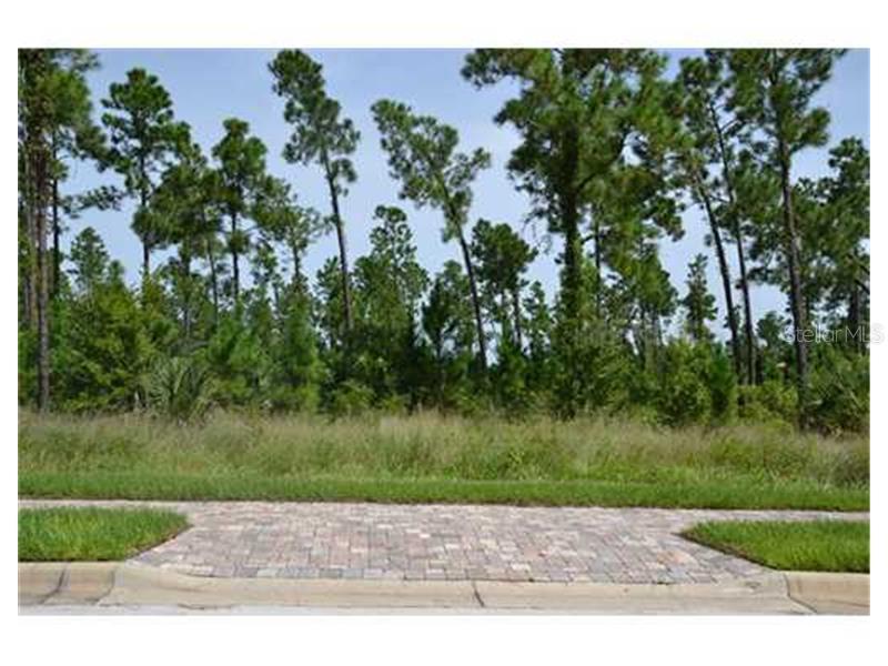 17109 Crete Way, Montverde, FL 34756