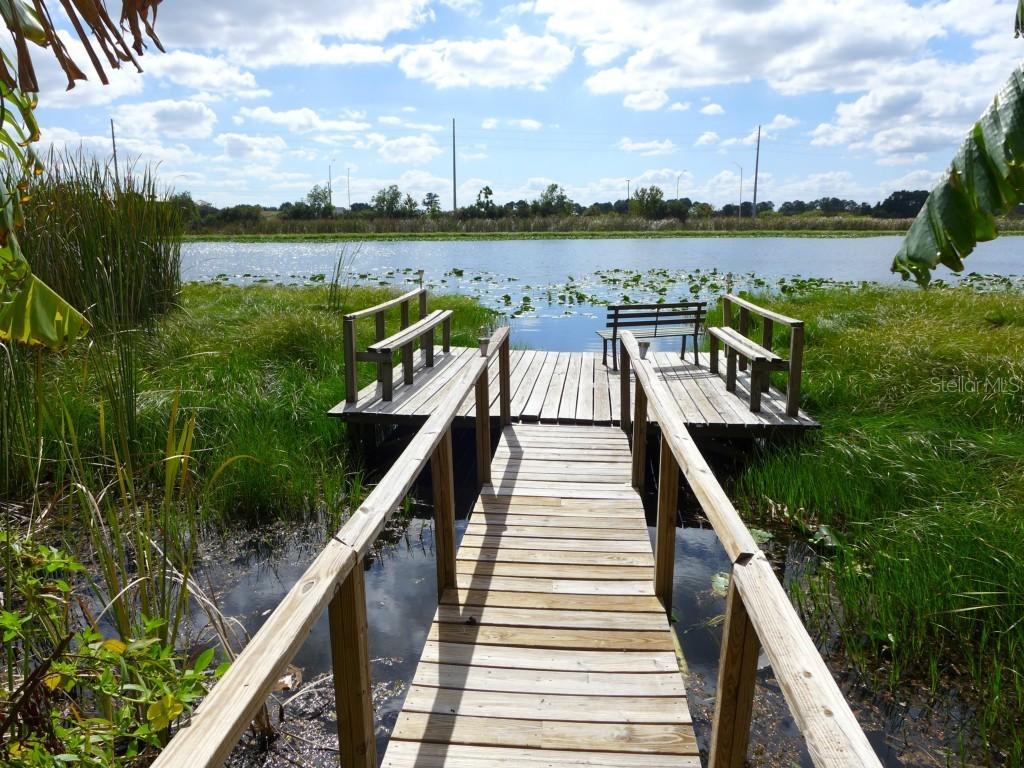 14424 Lake Junietta Dr., Tavares, FL 32778