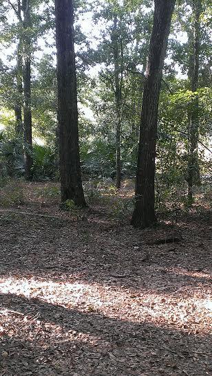 Fenimore St., Sorrento, FL 32776