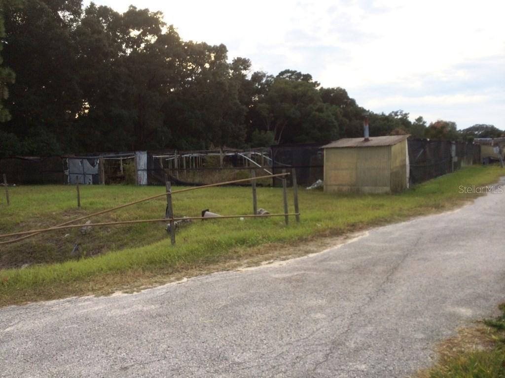 3131 Round Lake Rd., Apopka, FL 32712