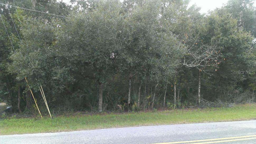 Prestwick Ave., Sorrento, FL 32776