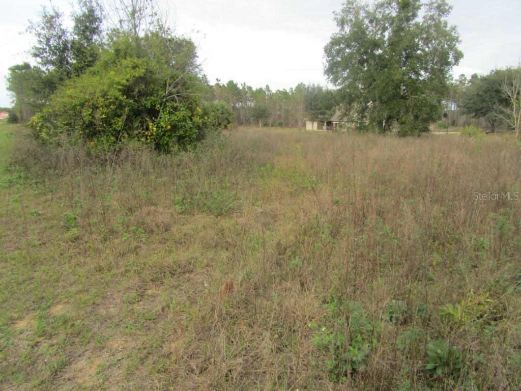 [Address Hidden by Seller], Montverde, FL 34756