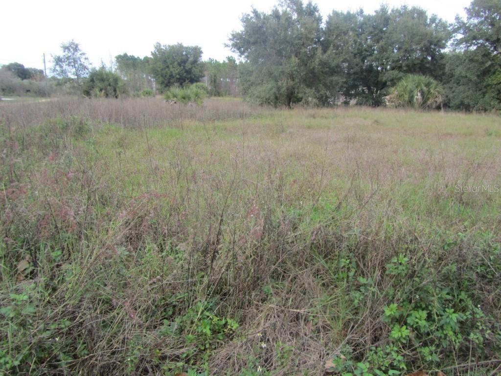 [Address Hidden by Seller], Montverde, FL 34756