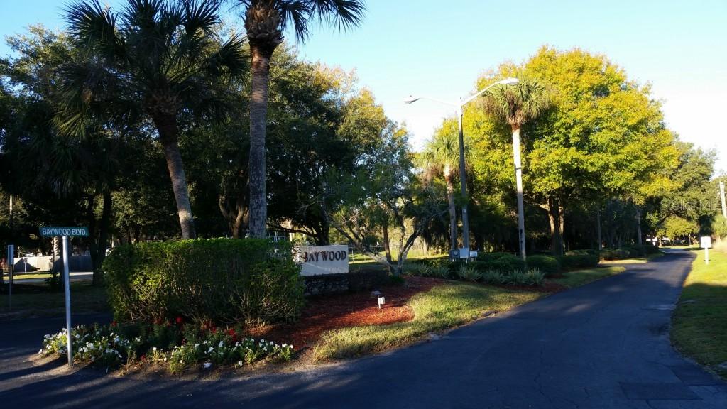 4300 Baywood Blvd. #106, Mount Dora, FL 32757