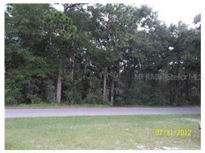 Troon Ave., Sorrento, FL 32776
