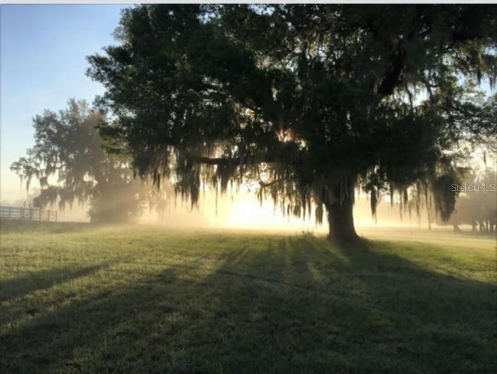 Oak Bluff Dr., Sorrento, FL 32776