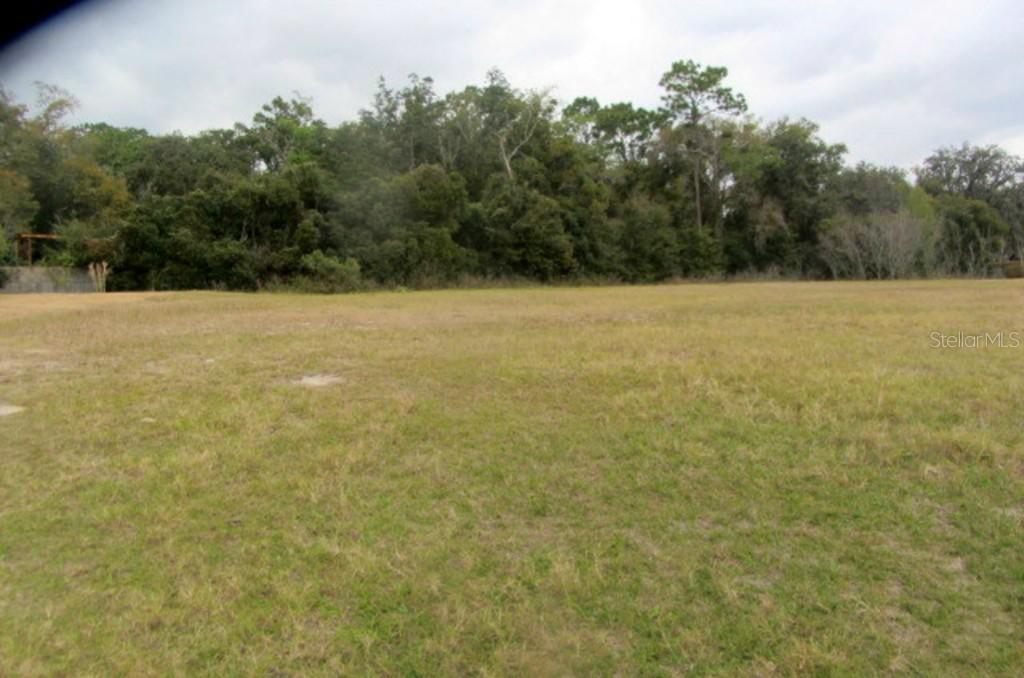 8989 Bridgeport Bay Cir., Mount Dora, FL 32757