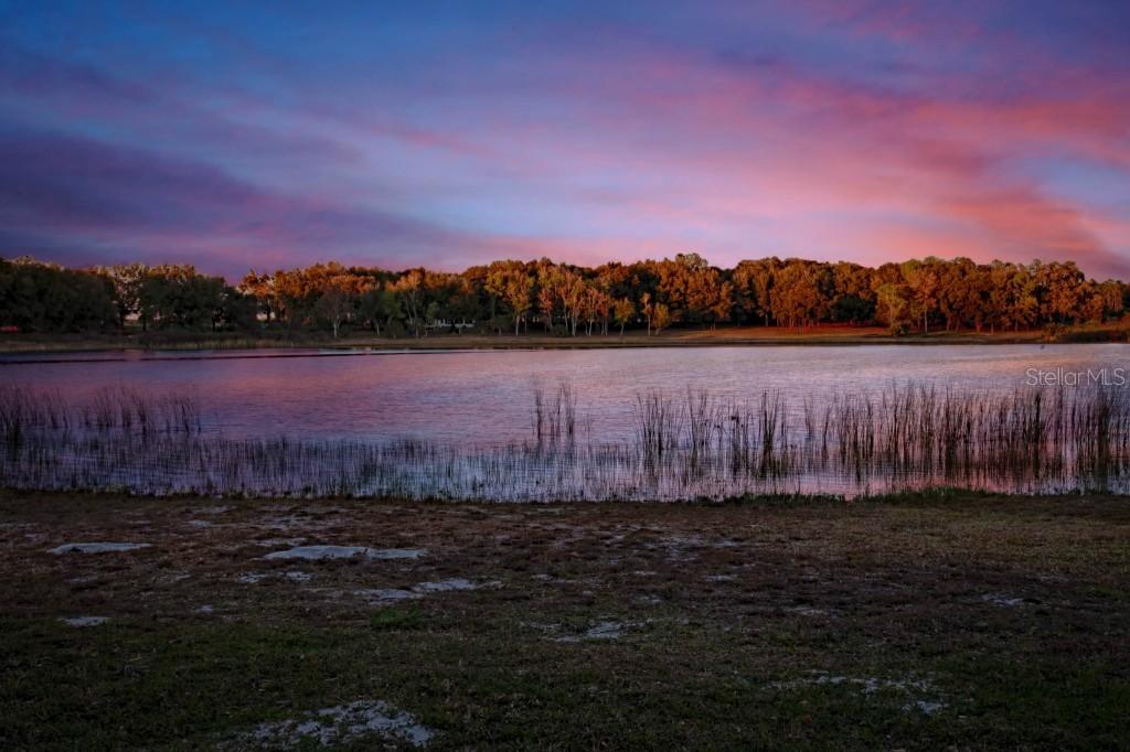 402 Lake St., Umatilla, FL 32784