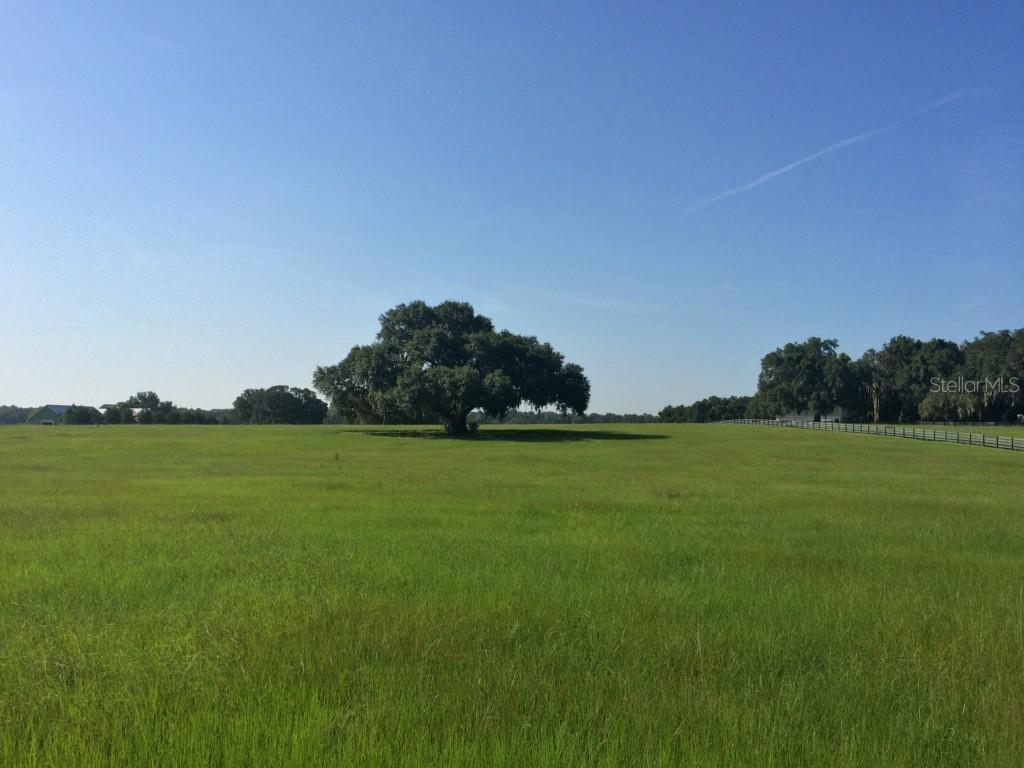 Cr 204, Oxford, FL 34484