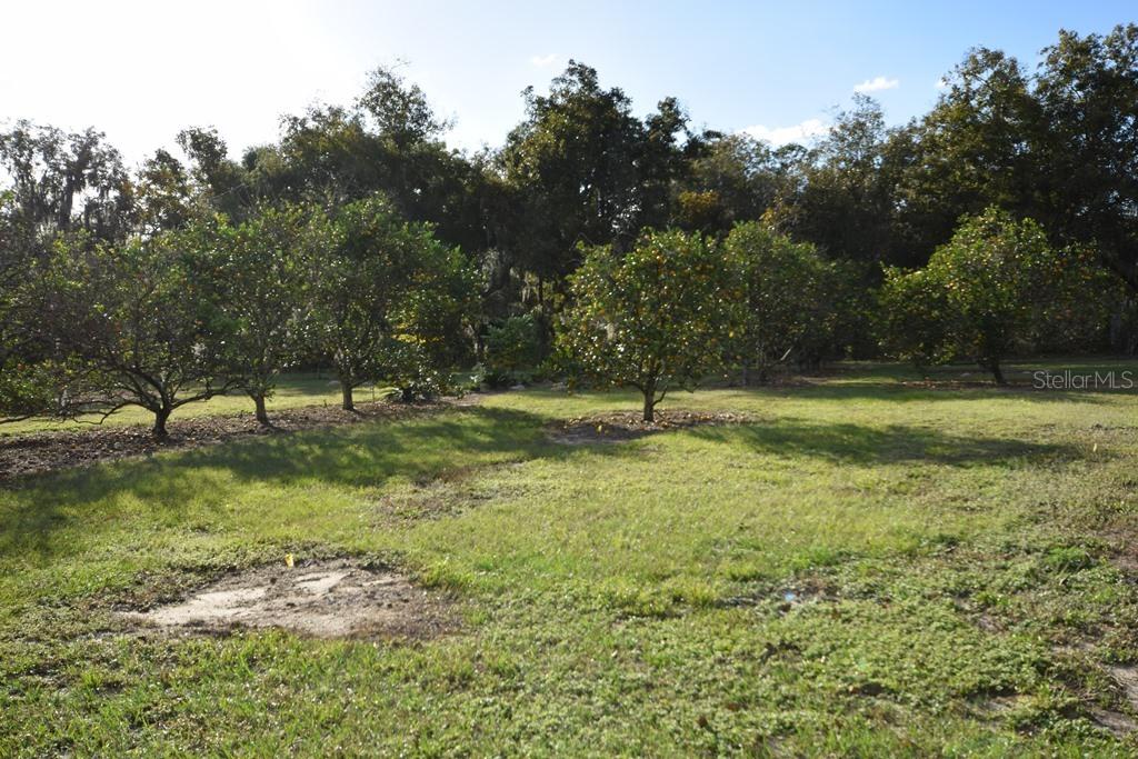 Autumn Ln., Clermont, FL 34711