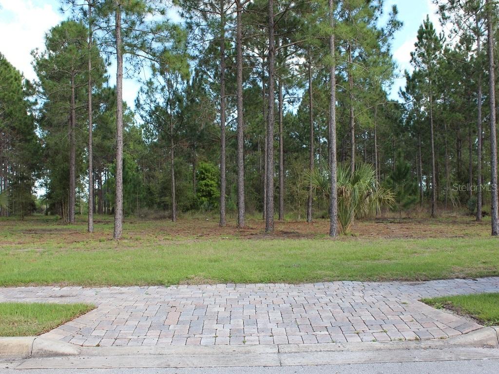 Lot 295 Vinci Way, Montverde, FL 34756