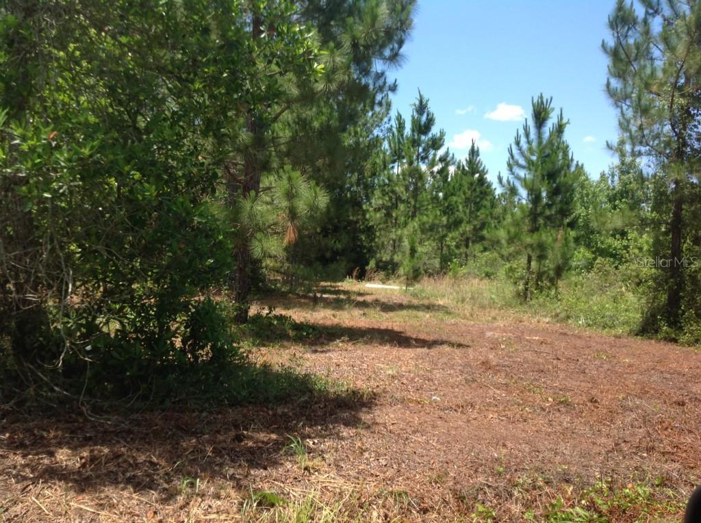 Off Oil Well Rd., Clermont, FL 34714