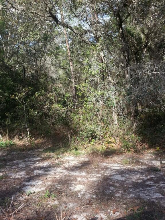 Waterbird Way, Weeki Wachee, FL 34613