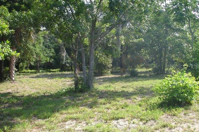 Tuscawilla Dr., Leesburg, FL 34748