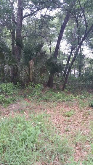 Adair Ave., Sorrento, FL 32776