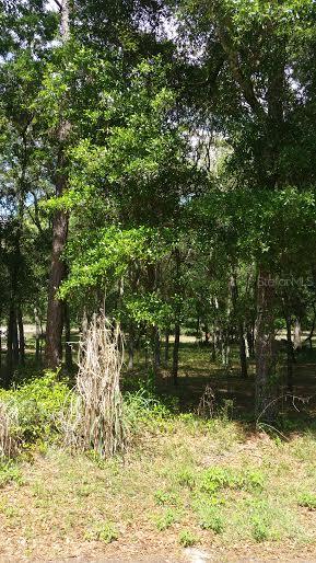 Lochmore Cir., Sorrento, FL 32776
