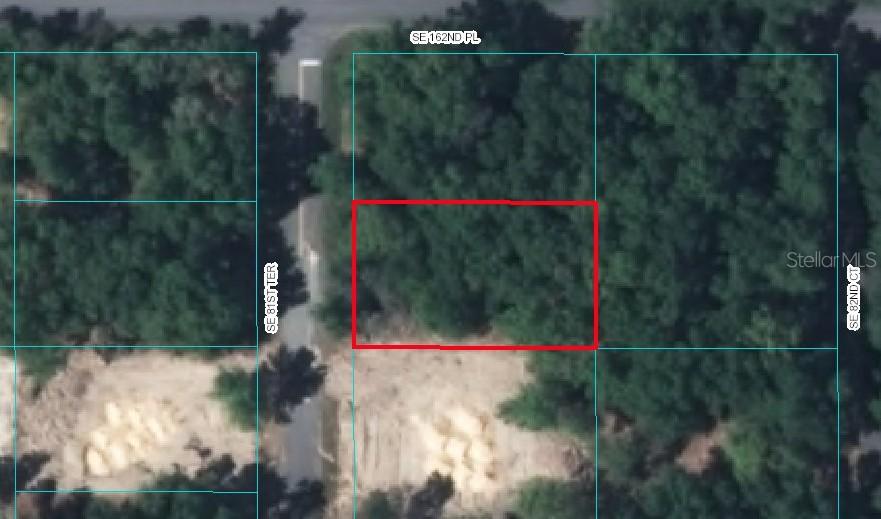 SE 81 Terrace Rd., Summerfield, FL 34491