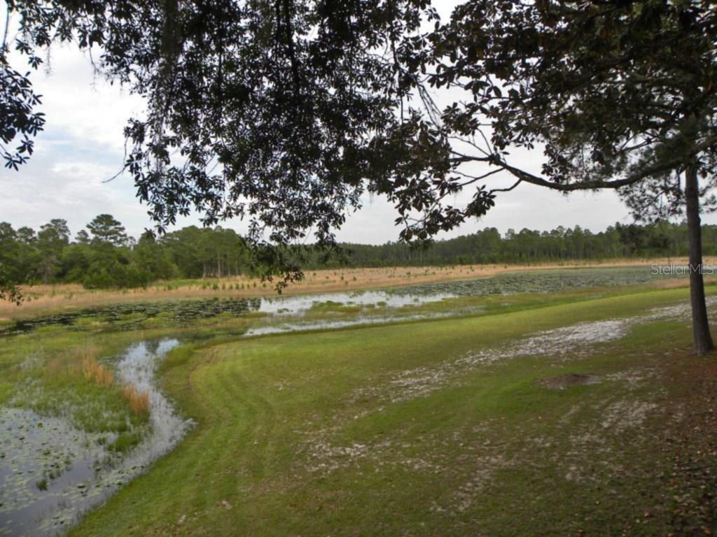 9339 197th Ave., Ocklawaha, FL 32179
