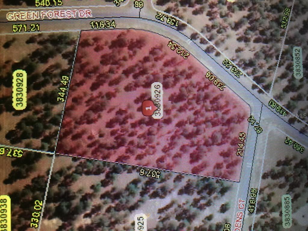 24047 Green Gardens Ct., Eustis, FL 32736