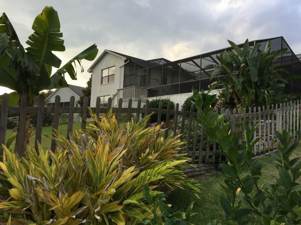 1324 Cove Pl., Tavares, FL 32778