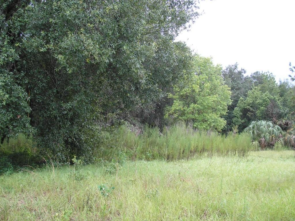 140 Wafford St., Umatilla, FL 32784