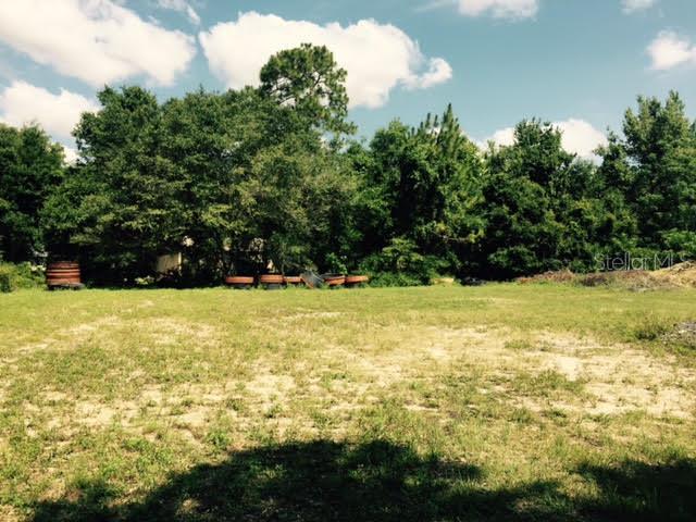 LOT 100 Carlton St., Groveland, FL 34736