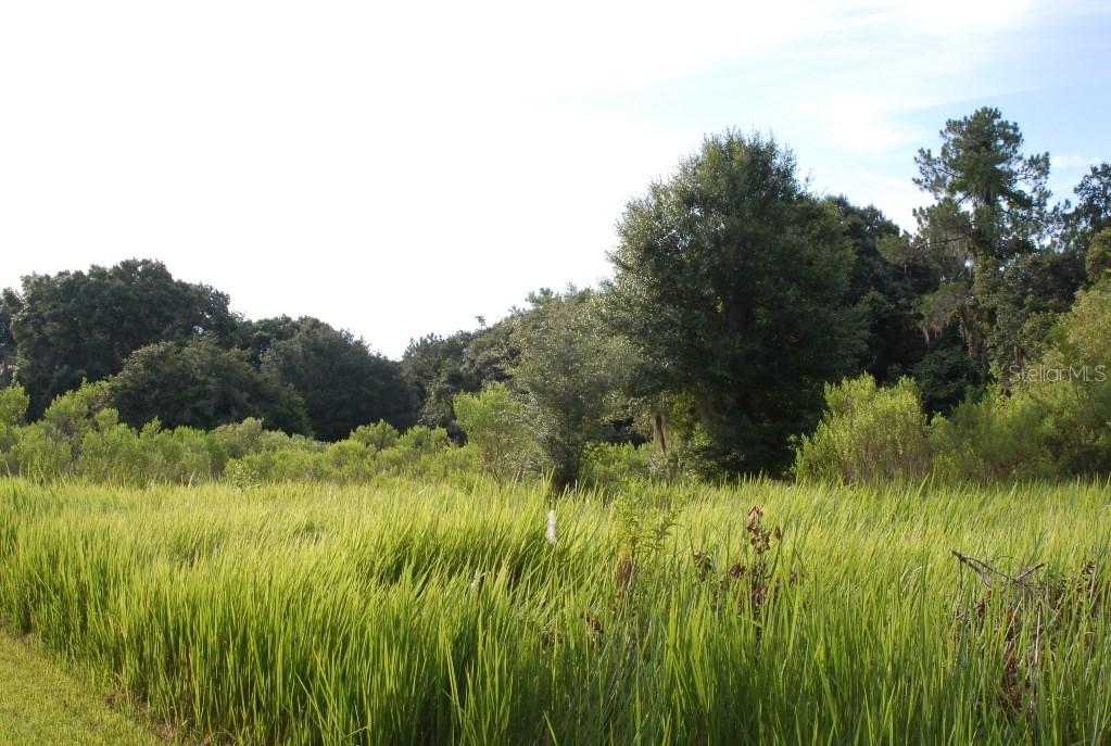 36 Ol Milwaukee Rd., Groveland, FL 34736