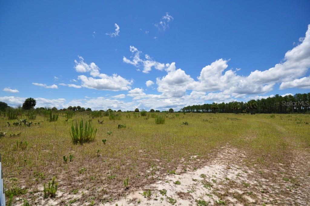 000, Eustis, FL 32736